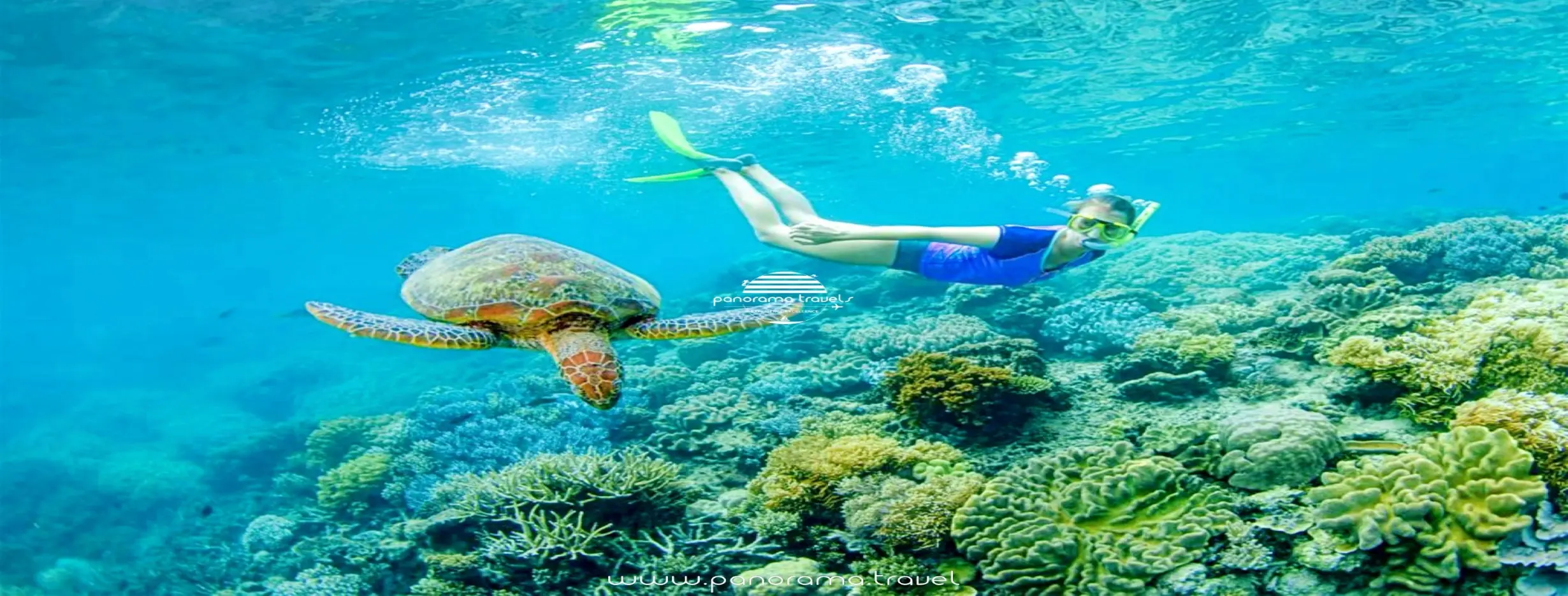 Image for Snorkeling at Daymaniyat Islands